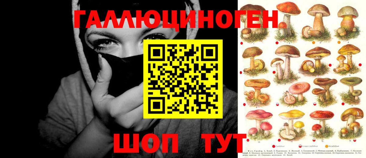 Псилоцибиновые грибы Cubensis  Вход с VPN  Псилоцибиновые грибы мухоморы  Стрежевой 