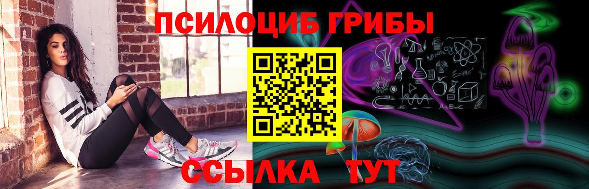 Псилоцибиновые грибы Psilocybine cubensis Стрежевой